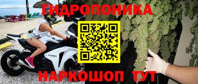 крисы Бузулук
