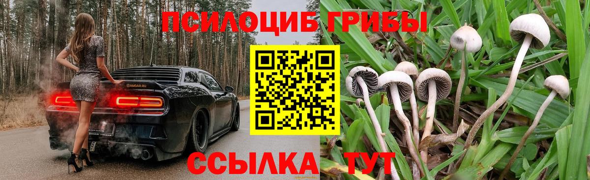 сколько стоит  Галлюциногенные грибы ЛСД  Псилоцибиновые грибы Magic Shrooms  Вход с VPN  Лысьва 