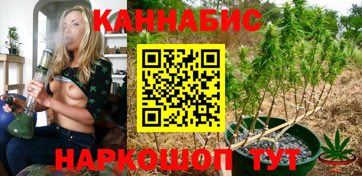 Марихуана сатива Лысьва